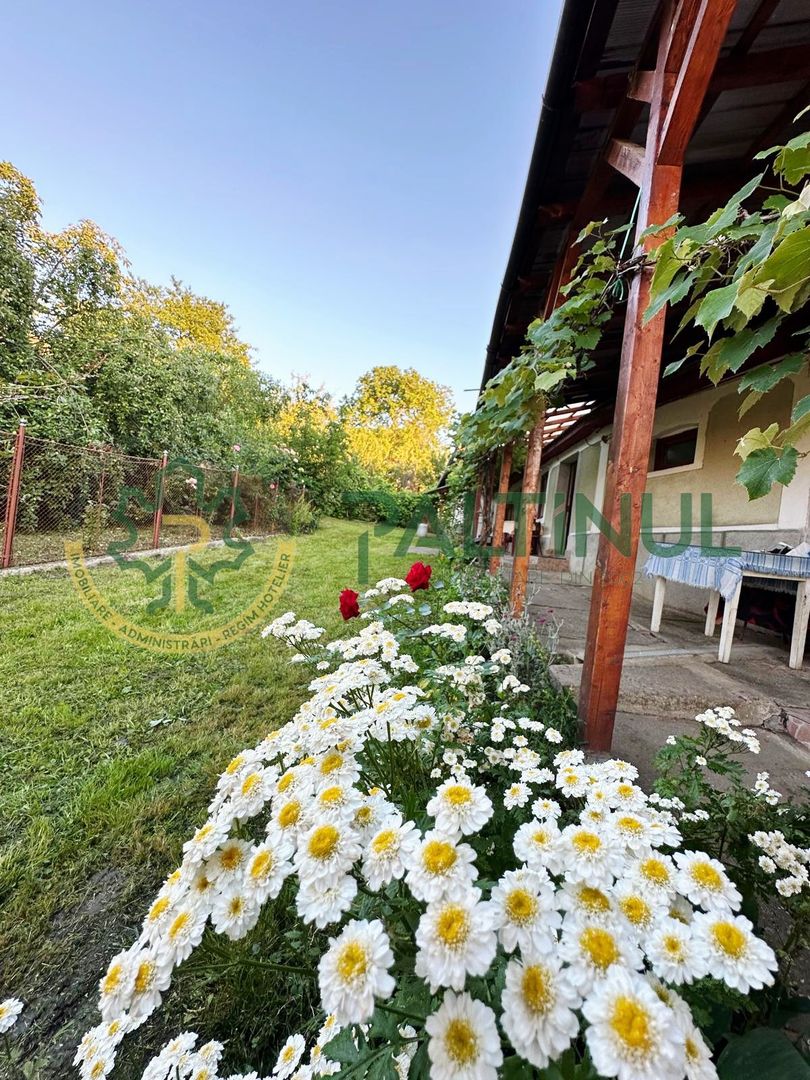 Casă și Teren Generos în Sibiu,  Armeni, Comuna Loamneș