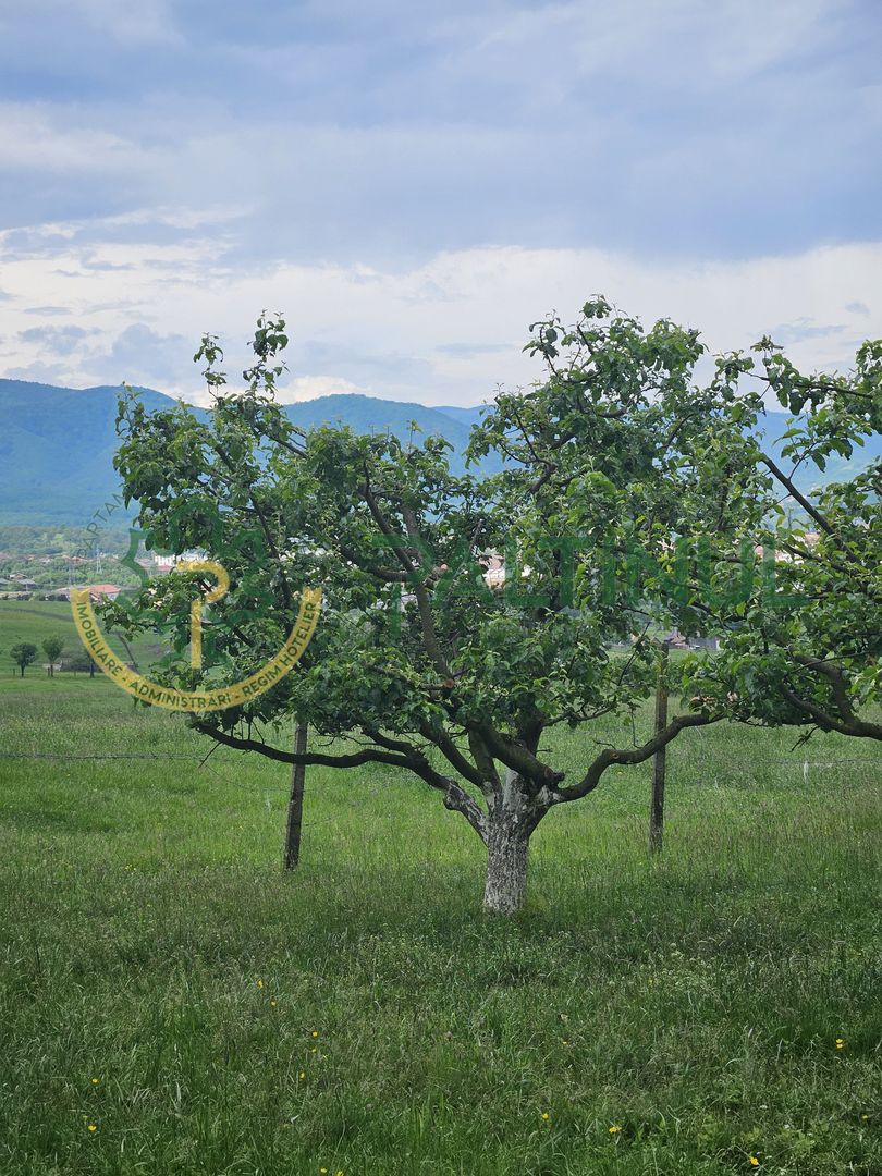 Teren cu priveliste deosebita, 5000 mp in Cisnadie, Sibiu