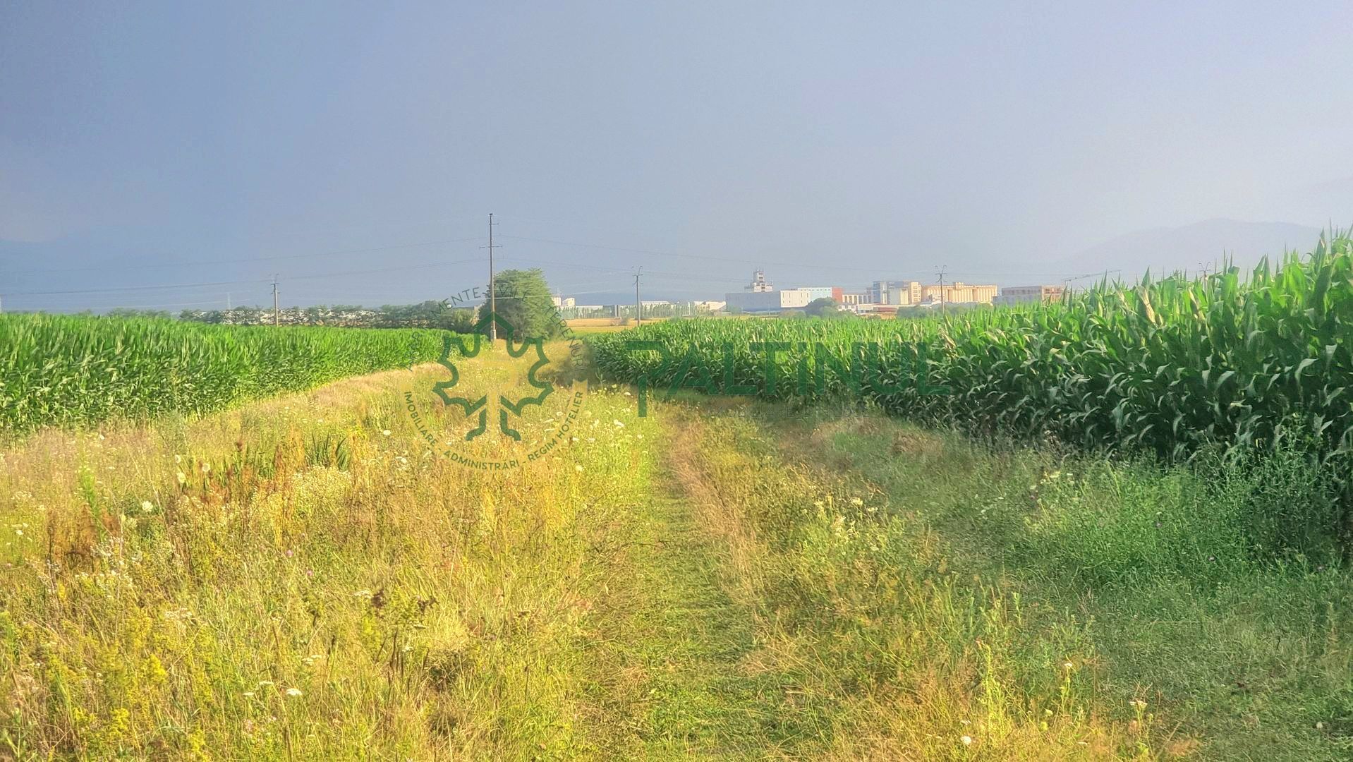 Teren 18.000 mp Sibiu- Calea Surii Mici langa Cartier Valetta Park