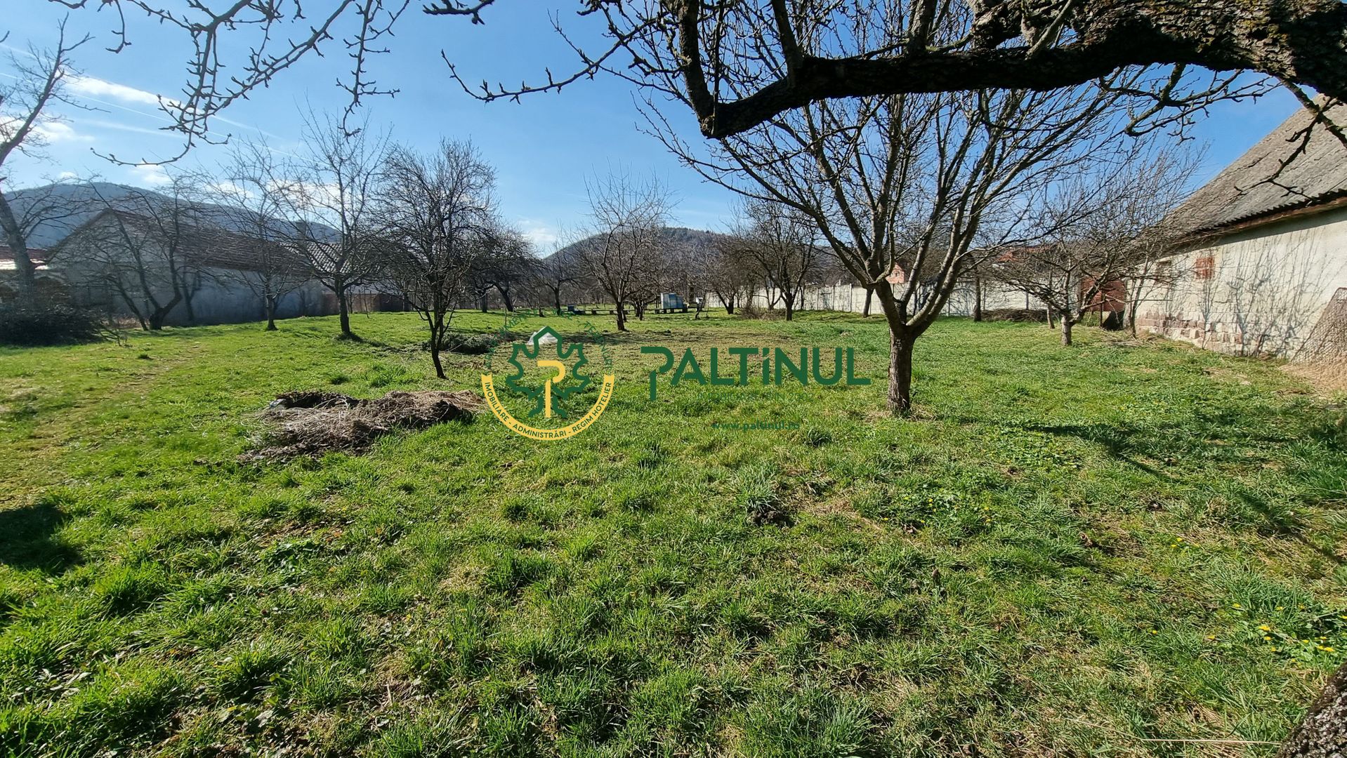 Gradina de 1935 mp in Saliste