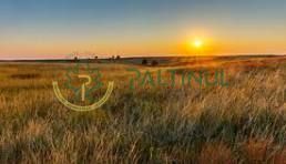 7C3lvWPbL9Es7oqCDhGcn_Wt2Q7K3BwSN6xoI0zIZ5U