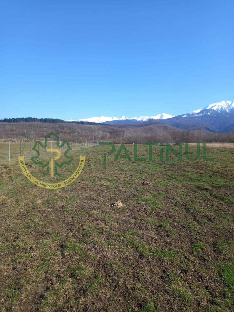 8A1CYgvaM96YawNxBpfoslEYLltVZTsq5NyC8UJDoA4