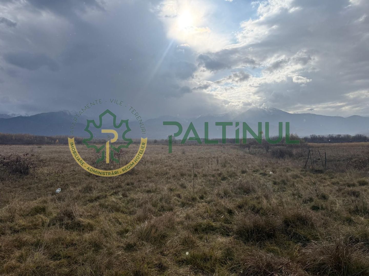 8tOXIDzOGHX268fsUJSpF3liDhBH0ZXec8hYdDpRFBo