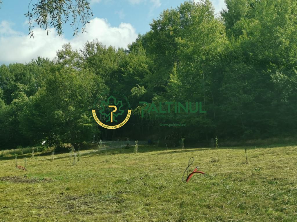 Teren 2000 mp cu PUZ aprobat si  utilitati CISNADIOARA