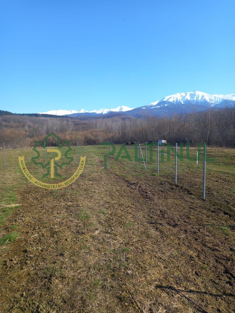 EF6atIq9IoYaKrwXuzQzQxNKJBau6NUGTQDfYOTZp3c