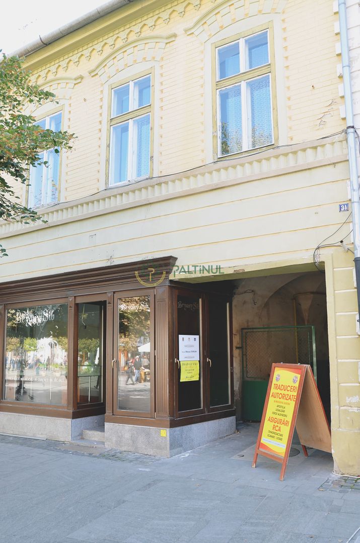 Apartament cu o camera de lux in centrul Sibiului