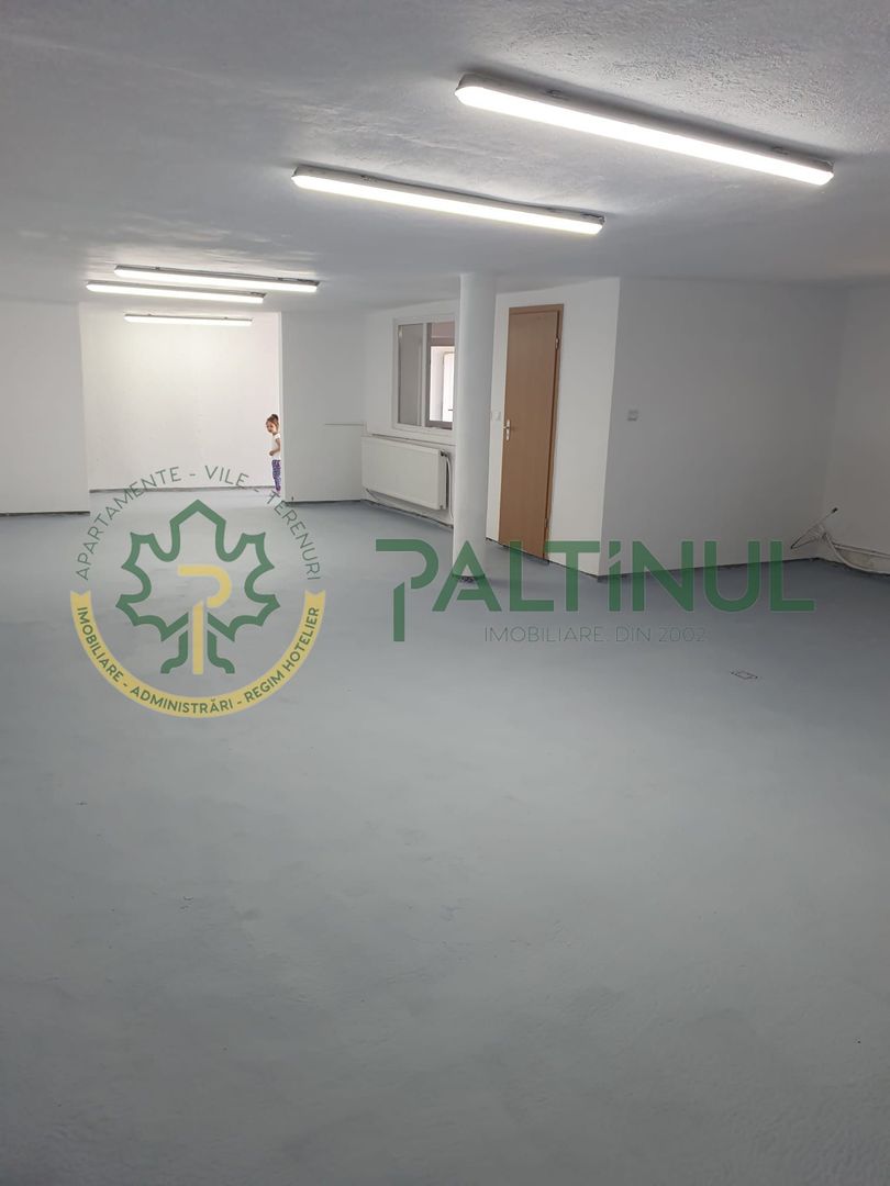 Spatiu productie sau depozitare, str. Podului