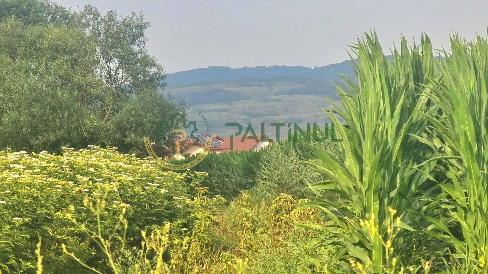 Teren 18.000 mp Sibiu- Calea Surii Mici langa Cartier Valetta Park