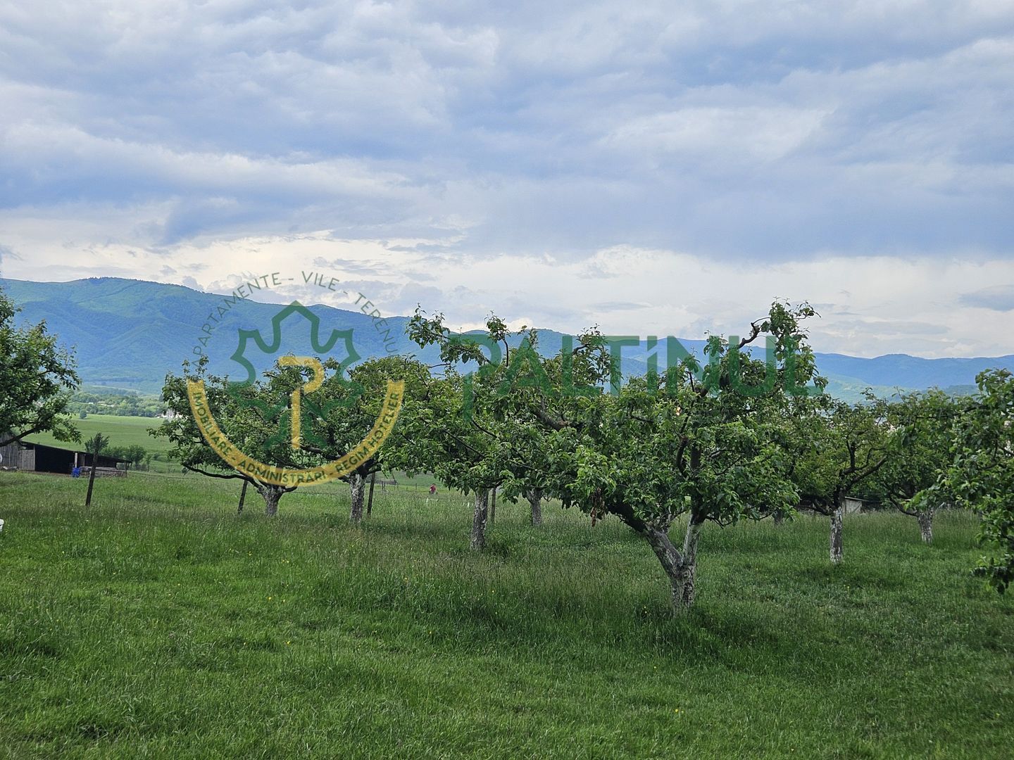 Teren cu priveliste deosebita, 5000 mp in Cisnadie, Sibiu