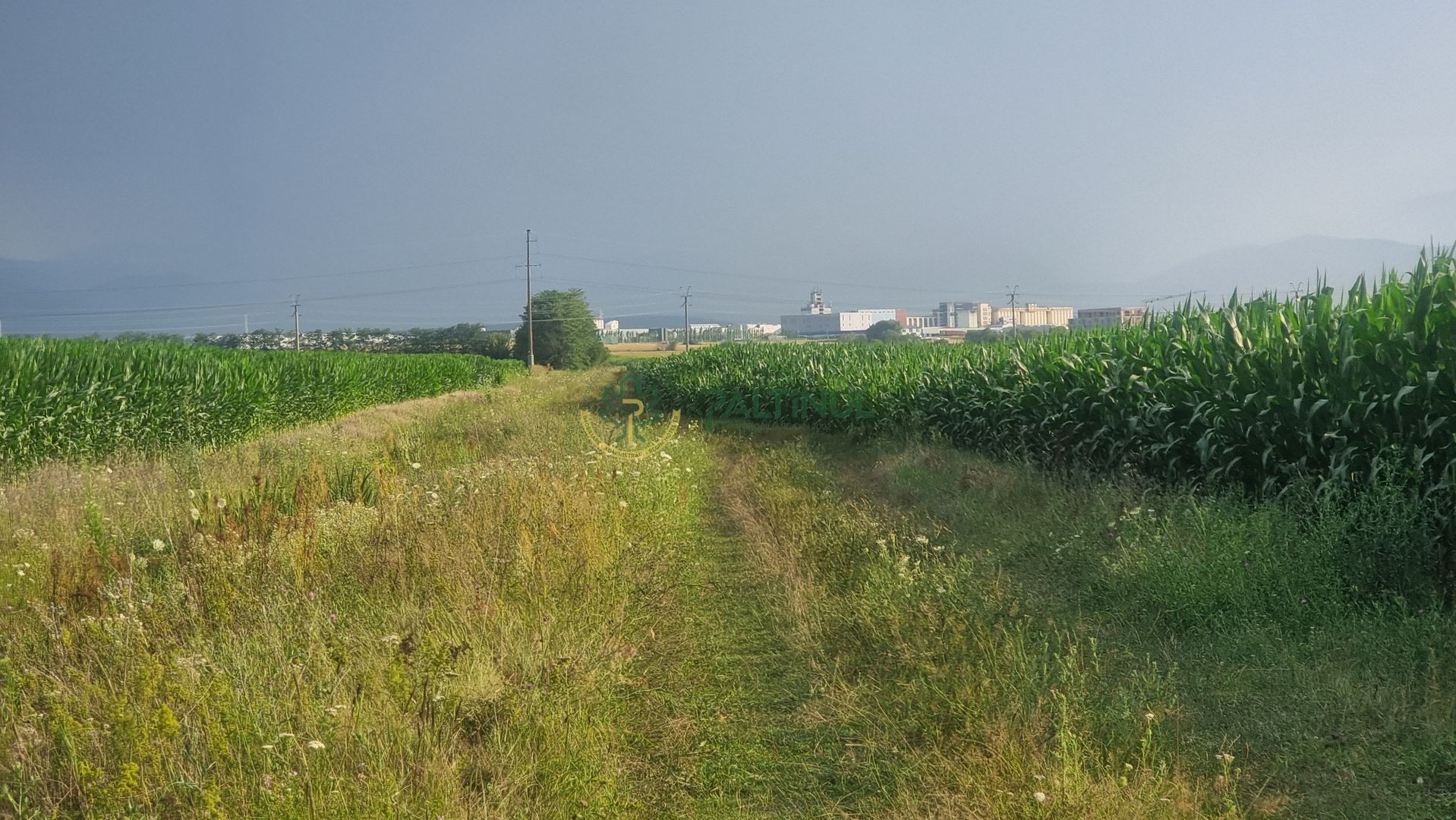 Teren 18.000 mp pe Calea Surii Mici langa Cartier Valetta Park