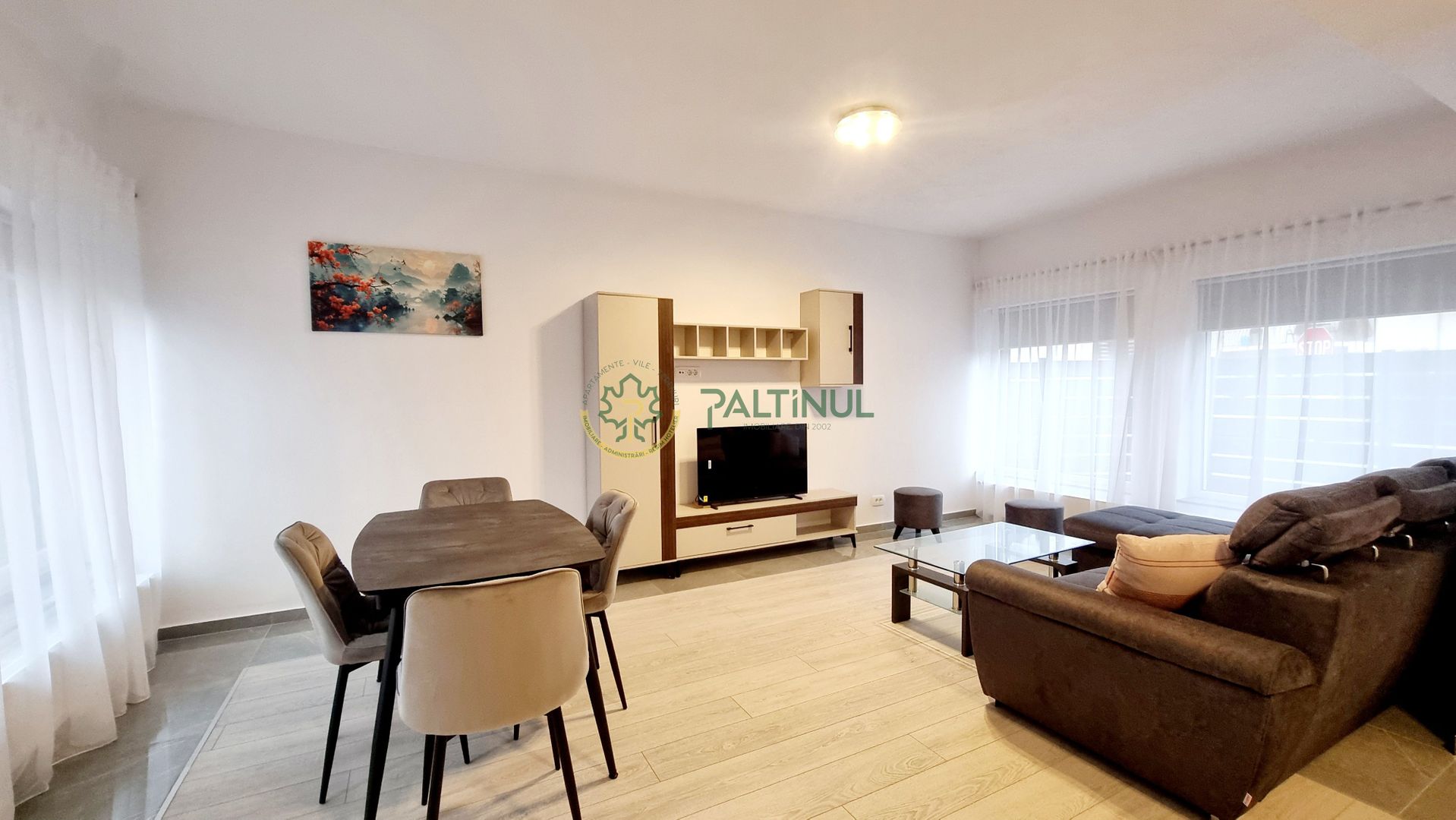 Duplex in Selimbar pe Pictor Nicolae Brana