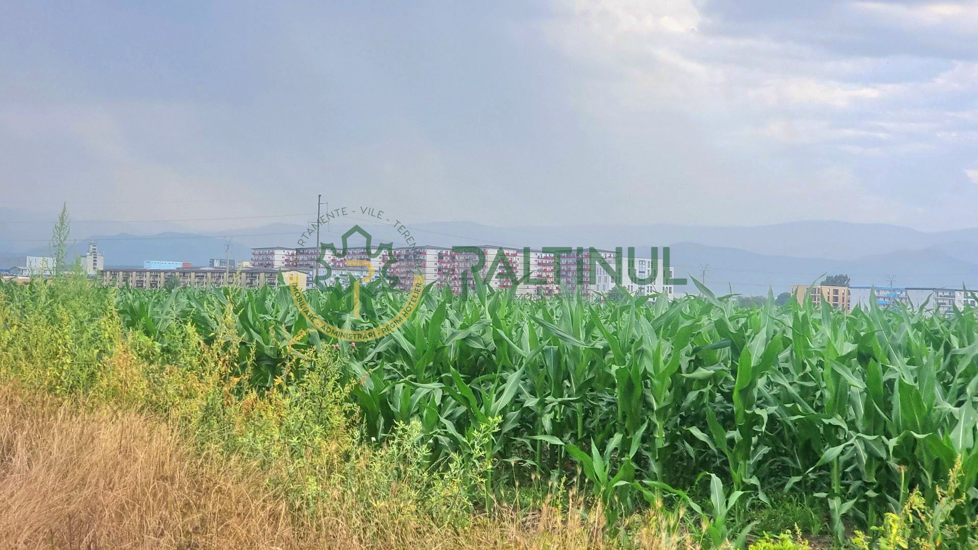 Teren 18.000 mp pe Calea Surii Mici langa Cartier Valetta Park