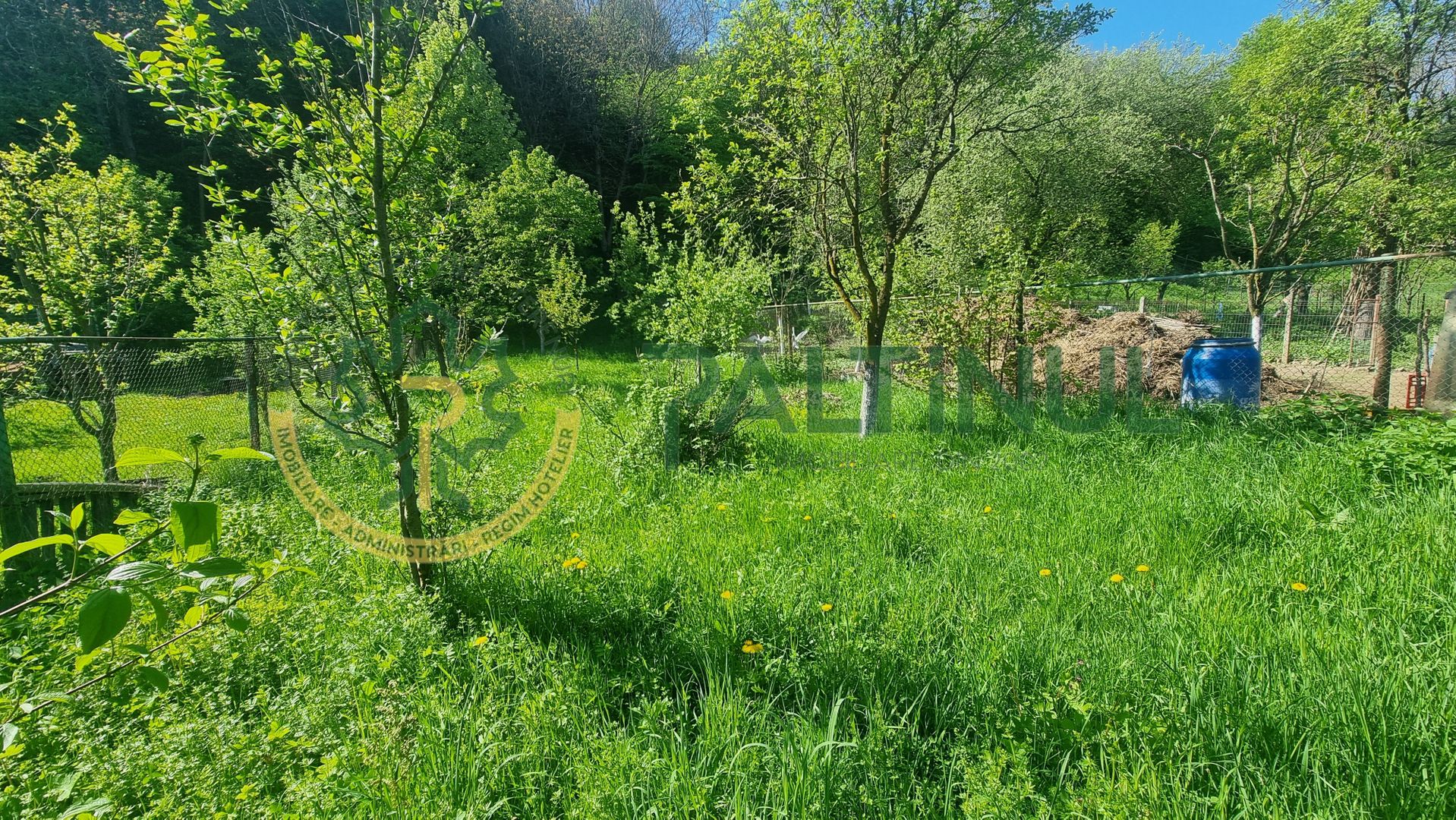 Casă de vânzare în Cisnădioara, curte mare și vedere spre munte