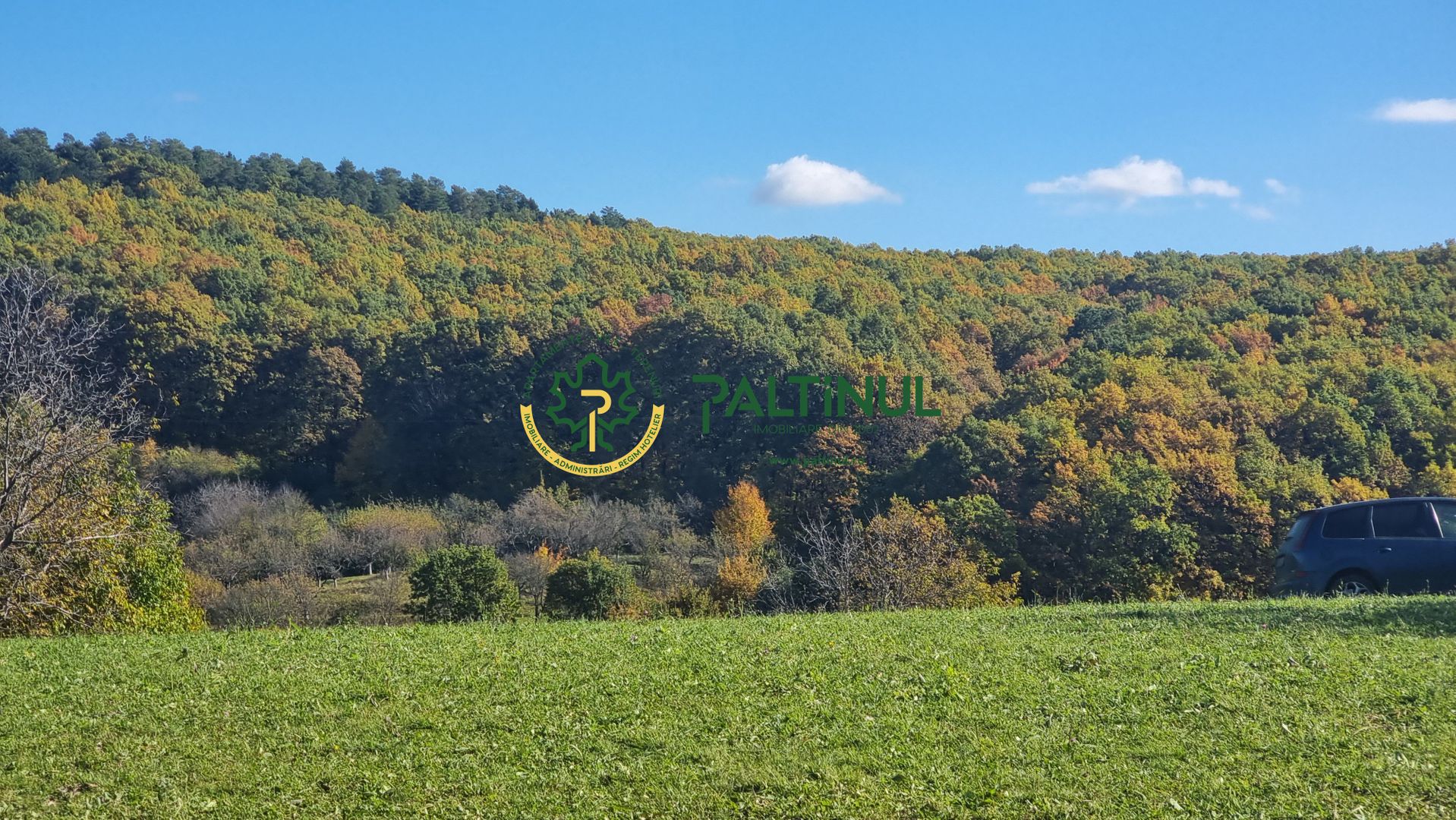 Teren in Rasinari 3010 mp cu priveliste superba