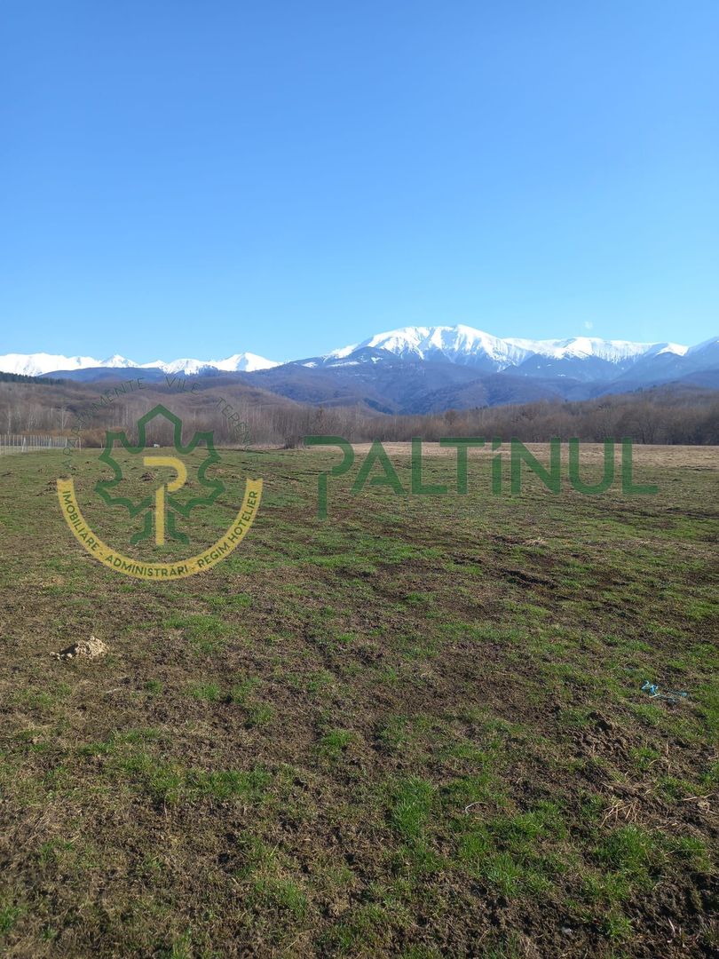 W9ThYZICq4alJiz8F1BvpFEfkmjANAEjOi5UkT4DZIw