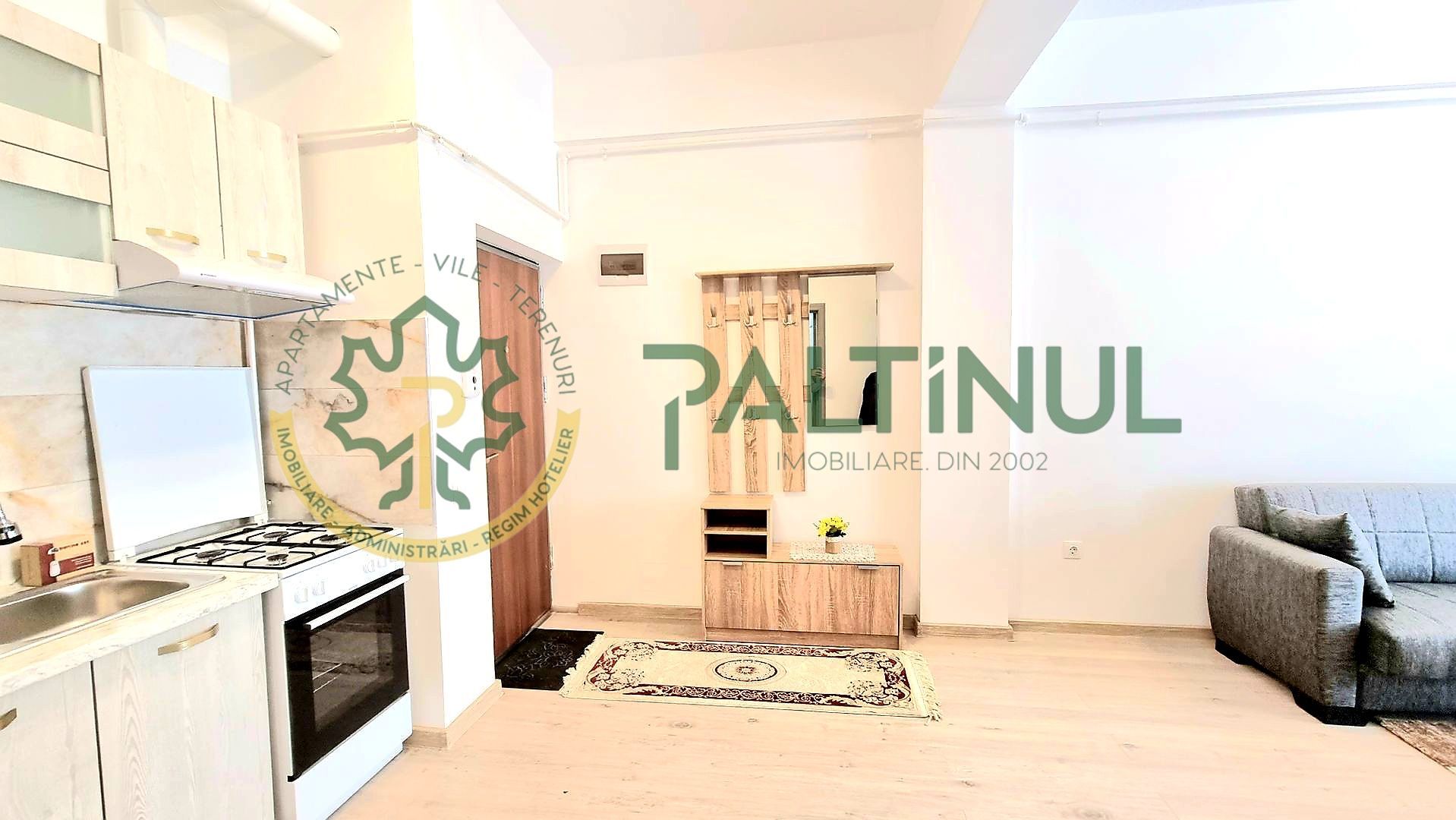 Apartament cu o camera la parter Sibiu- Doamna Stanca