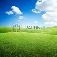 dZvafoPduh_QEcygJ0EhFWr0IvDSaWuyhZEIcrflut4