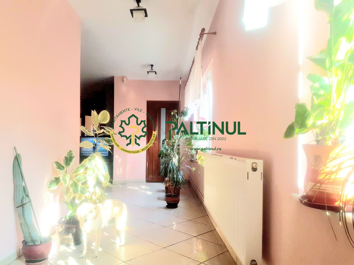 Vilă 7 camere în zona Trei Stejari