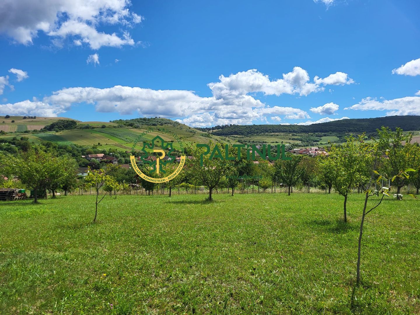 Teren intravilan, curti-constructii în Hamba