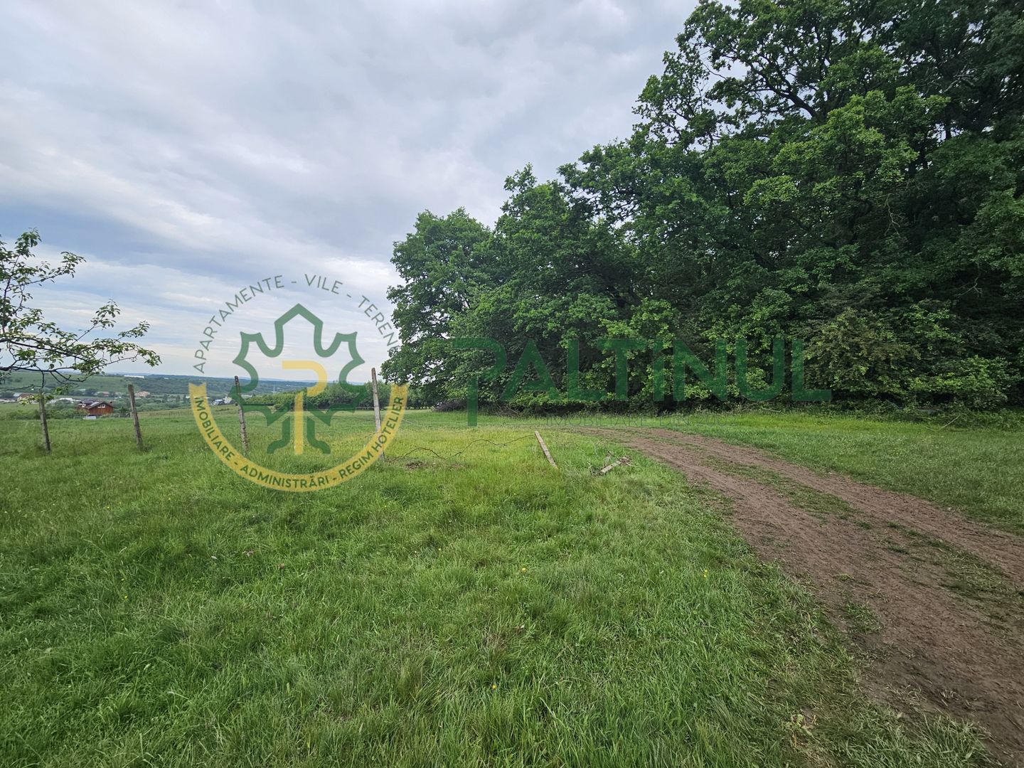 Teren cu priveliste deosebita, 5000 mp in Cisnadie, Sibiu